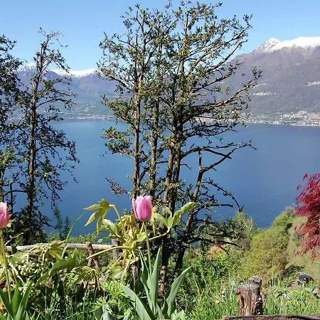 Settecentodue Holiday home Bellano